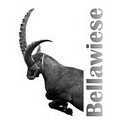 Gasthaus/Pension Bellawiese Logo