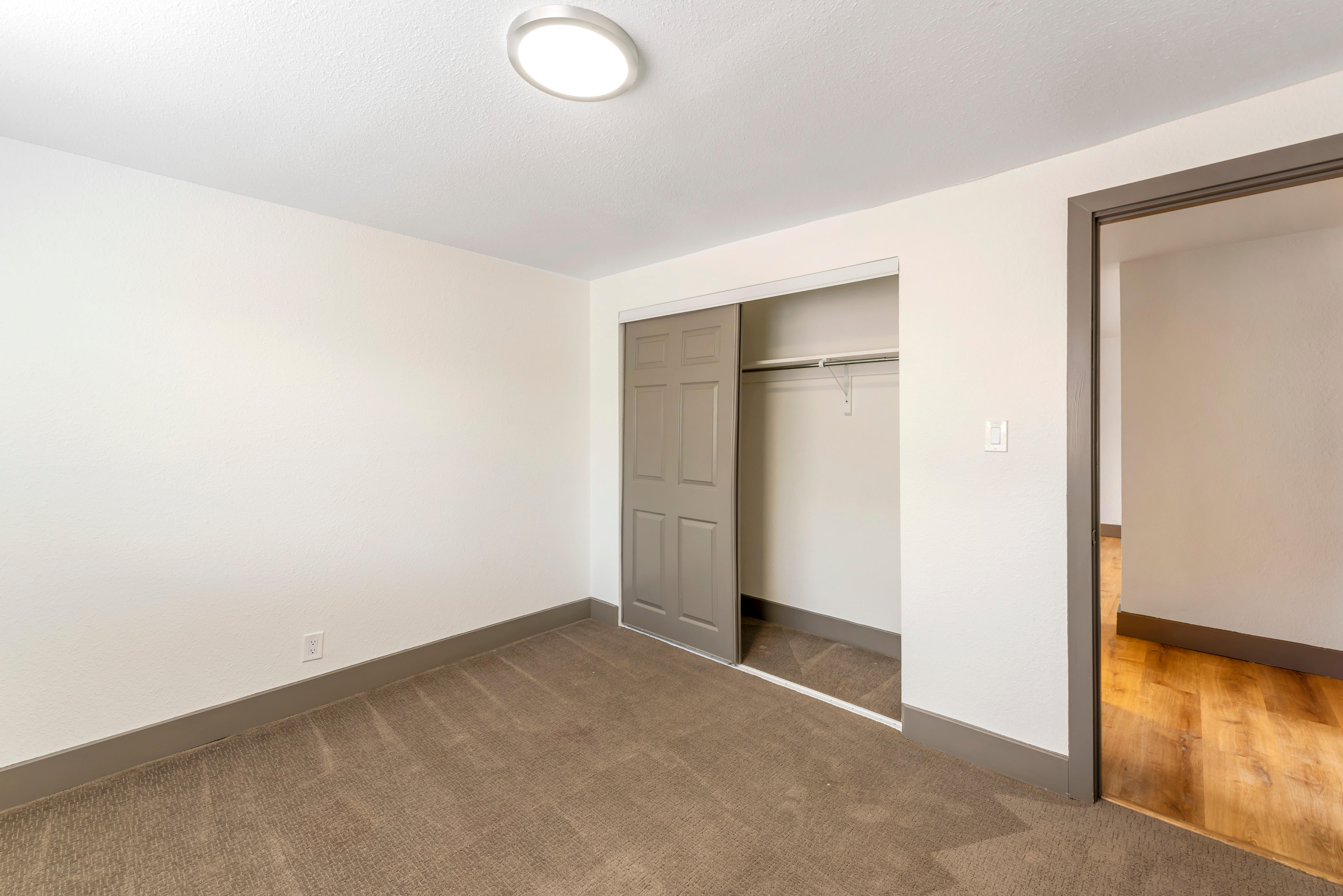 Carpeted bedroom with overhead light, closet with sliding doors, and door to hallway.