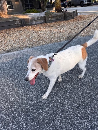 Images Sunshine Lodge