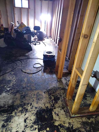 Images Restoration 1 of Waukegan