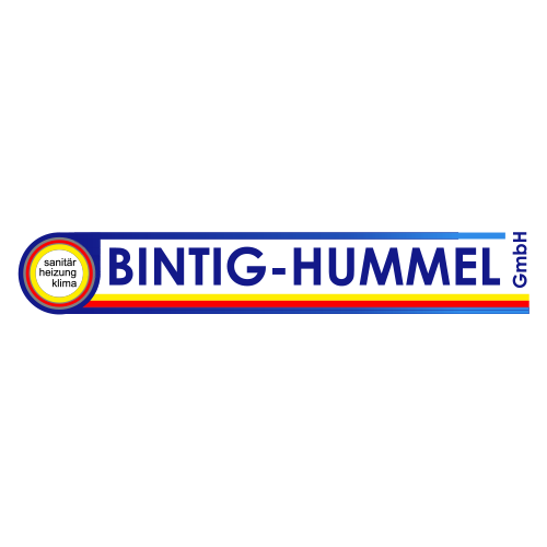 Bild zu Bintig-Hummel GmbH in Hamm in Westfalen