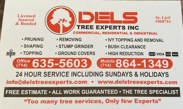 Images Dels Tree Experts