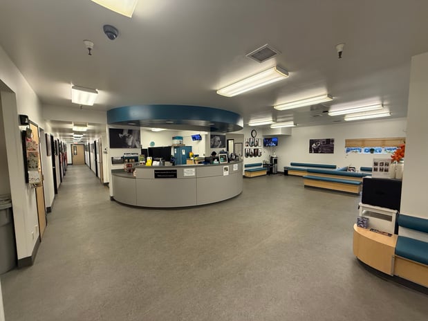 Images VCA Southeast Portland Animal Hospital