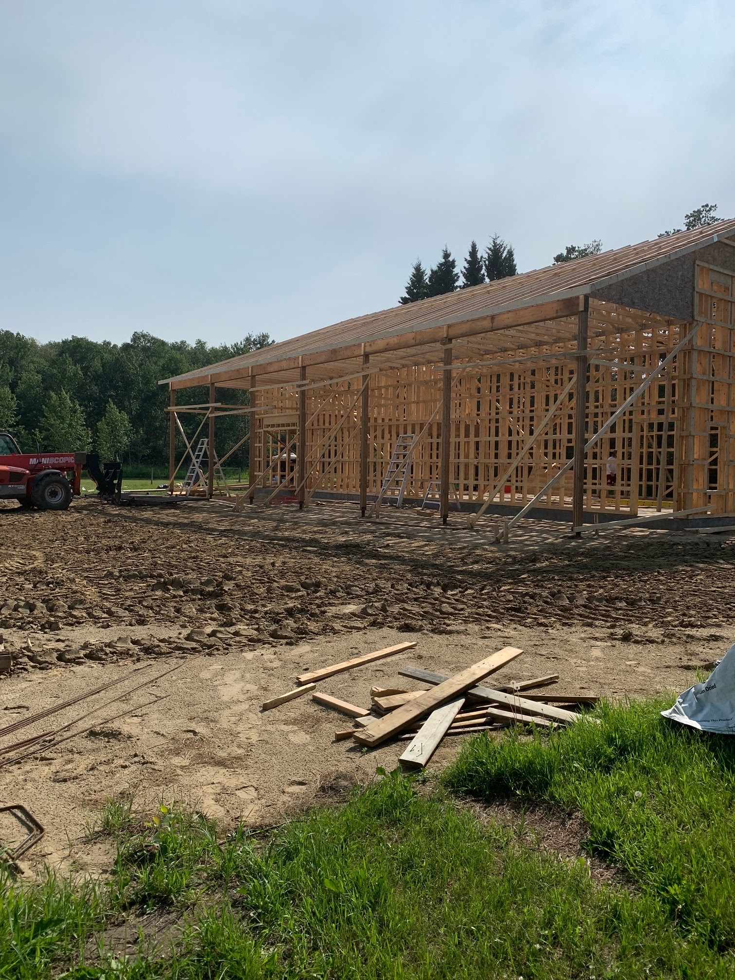 Images The Blue Spruce Builder