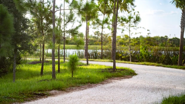 Images Oakbend Wellen Park