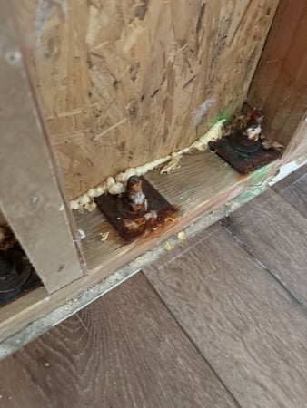 Images 24H Mold Inspection of Mission Viejo