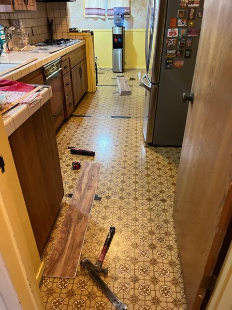 EDGARS CARPET CLEANING Logo