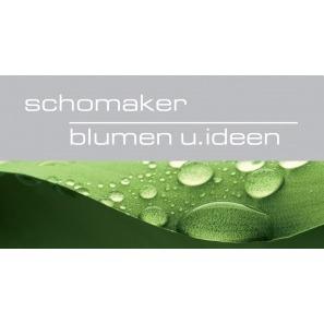 Logo Blumen Schomaker Die Naturwerkstatt