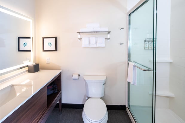 Images Holiday Inn & Suites Detroit - Troy by IHG