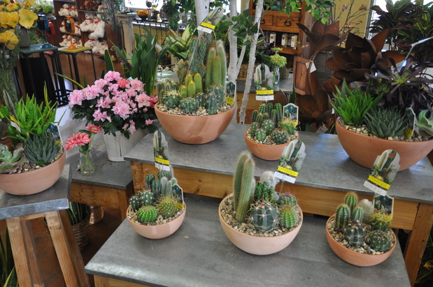 Images Peoples Flower Shops Far North Location