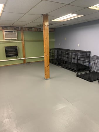 Images Pet Palace