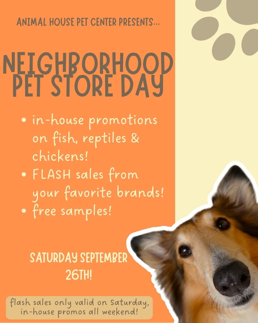 Image of Local Pet Event Neighborhood Pet Store Day 2026! - September 26th! Nearby