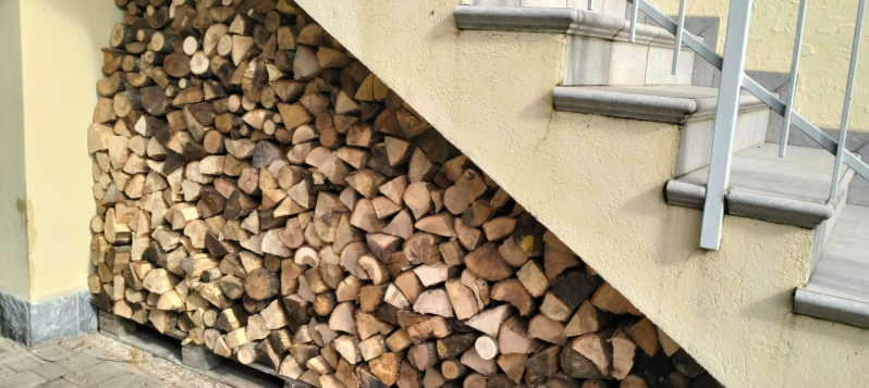 Images Mr Wood di Alessandro Castelli