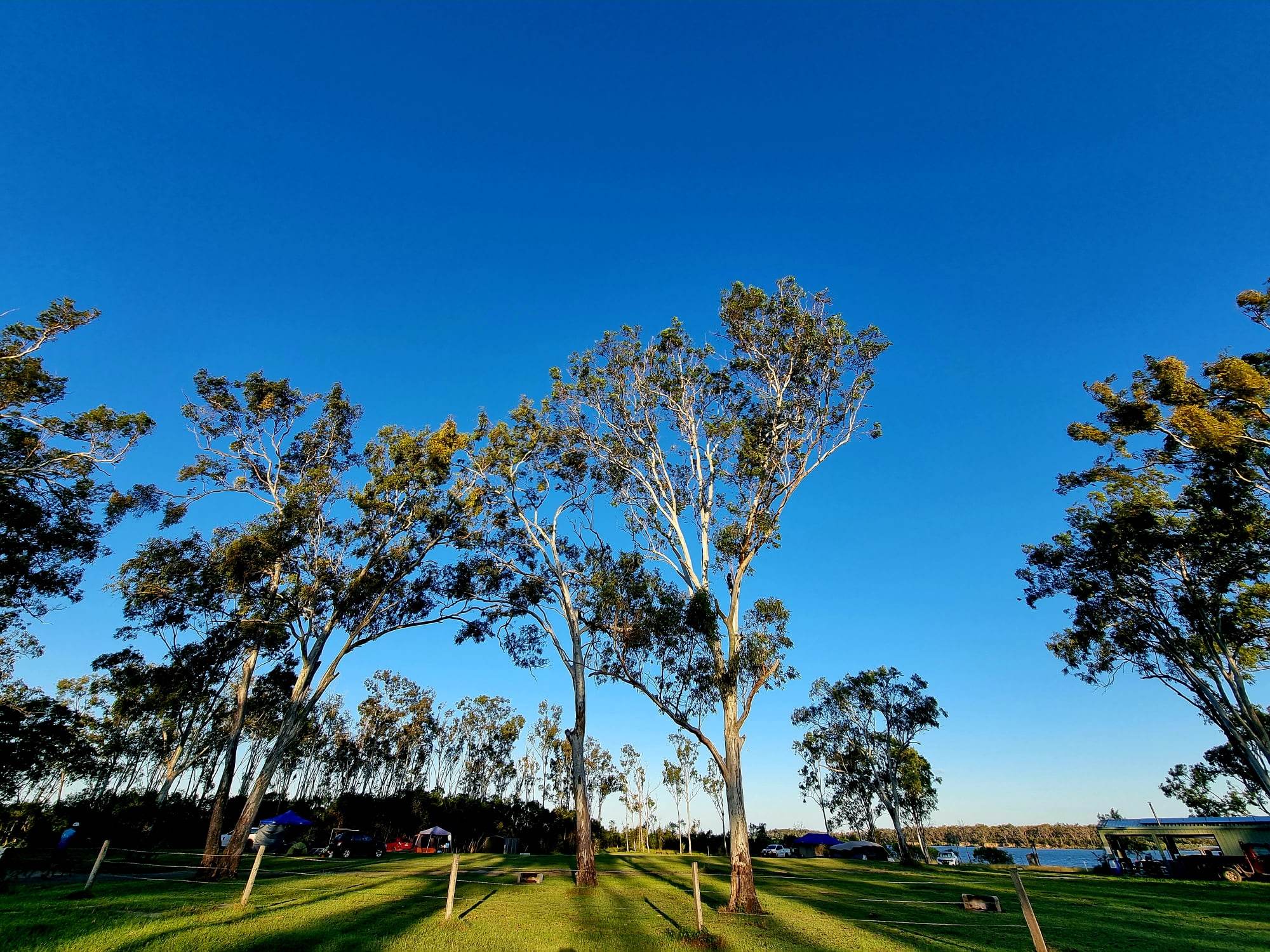 Images Buxton Bush Camp