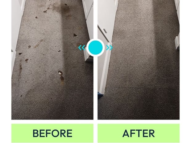 Images Voda Cleaning & Restoration