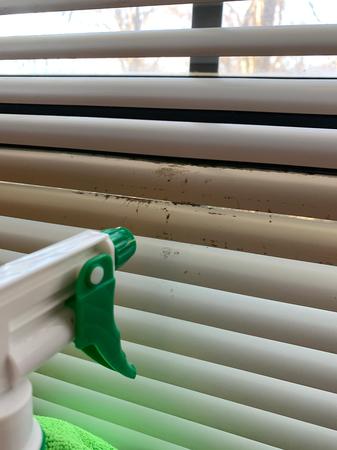 Images Tidy Upped Cleaning Services