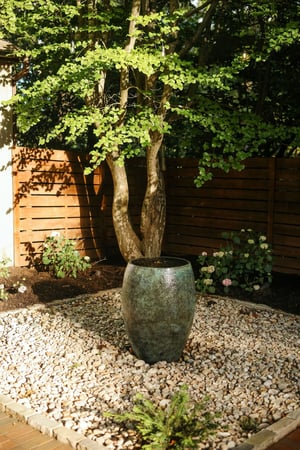 Images Pro Ridge Landscapes