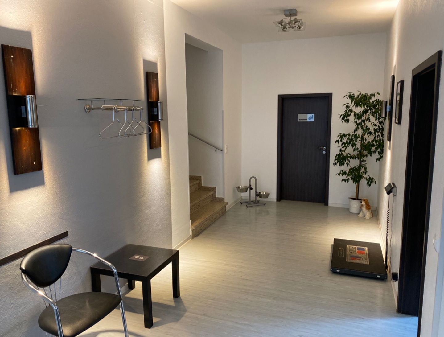 Tierärztliche Kleintierpraxis Offenthal, Wernher-von-Braun-Str. 1 in Dreieich