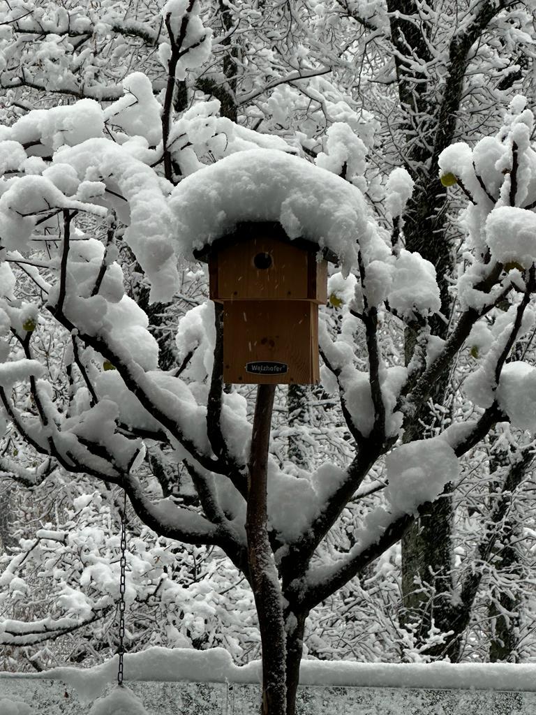 Bild zu Liebe Patientinnen und Patienten! Unsere Ordination bleibt in den Weihnachtsferien vom 22.12.2024 bis 3.1.2025 geschlossen. In dringenden Fällen wenden Sie sich bitte an Ihren Hausarzt, der Sie erforderlichenfalls zu meiner Vertretung überweisen wird. Die Vertretungen entnehmen Sie bitte meiner Homepage www.summesberger.at.