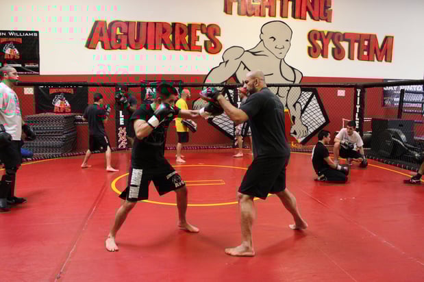 Images Aguirre's Fighting System