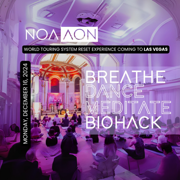 System Reset Experience by NOA|AON, Pavel Stuchlik