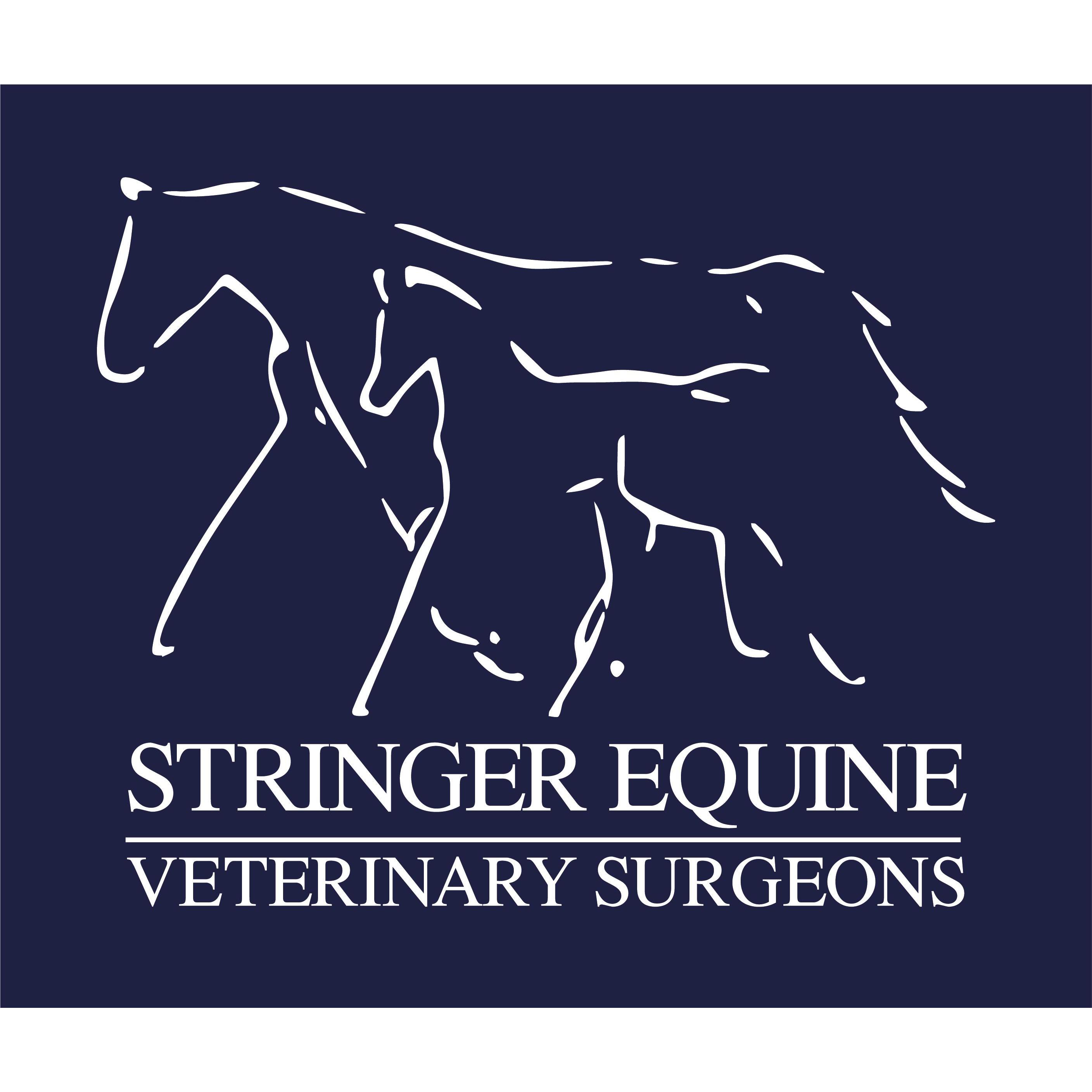 Stringer Equine Veterinary Practice, Okehampton Logo
