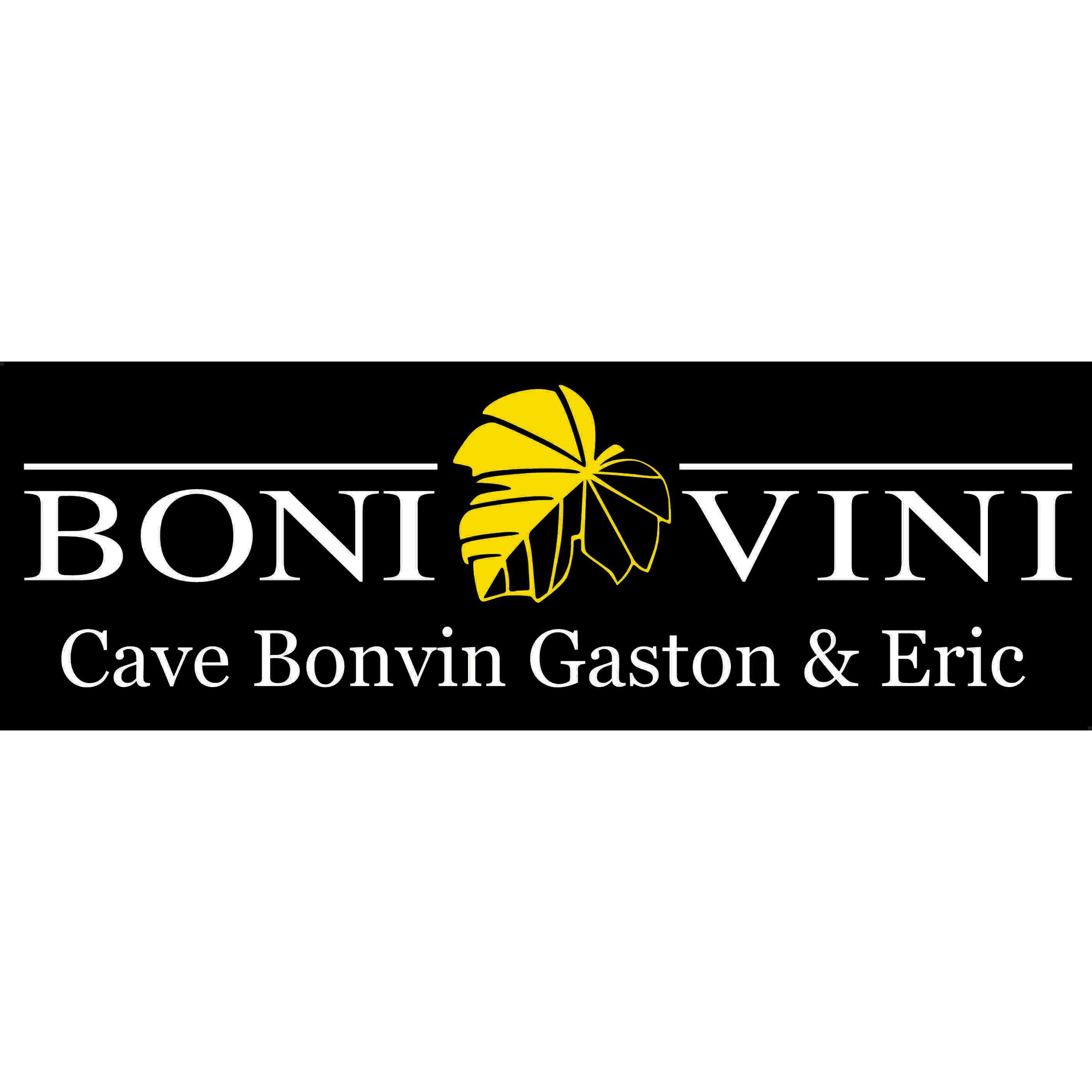 Bonvin Gaston et Eric Sàrl Logo