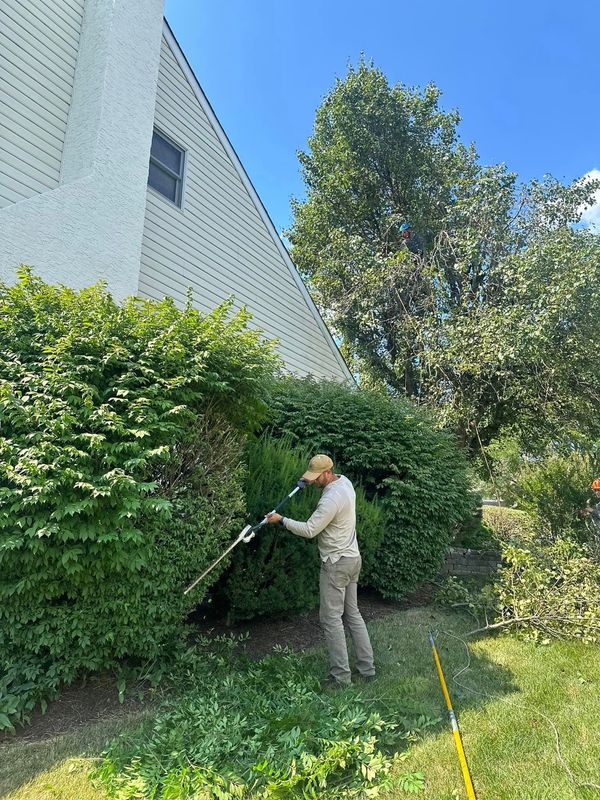 Images KC Tree Services LLC