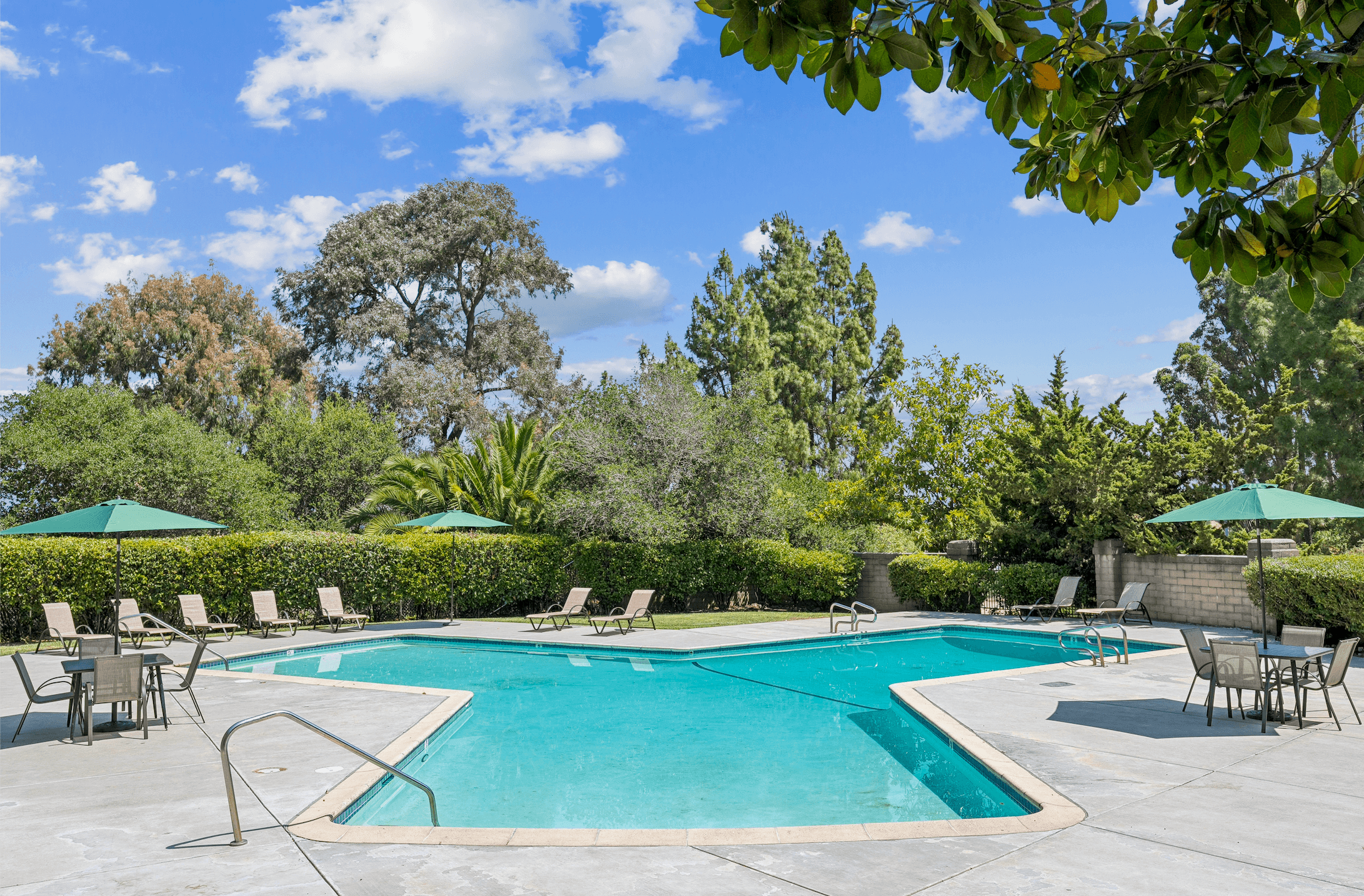 A swimming pool surrounded by trees and chairs.