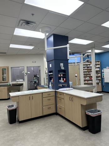 Images CityVet | Castle Hills Veterinary Clinic & Urgent Care