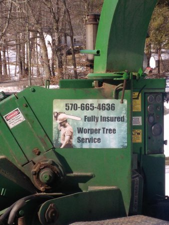 Images Worper Tree Service LLC