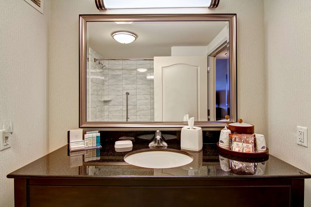 Hampton Inn by Hilton Toronto Airport Corporate Centre in Toronto: Guest room bath
