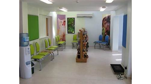 Images Hillside Veterinary Centre