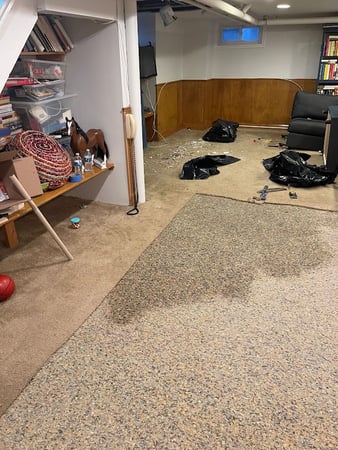 Images EZ Mitigation