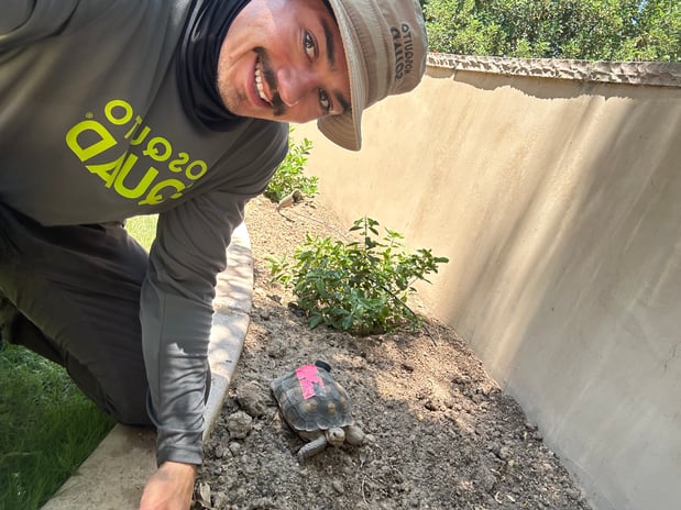 Images Mosquito Squad of The East Valley