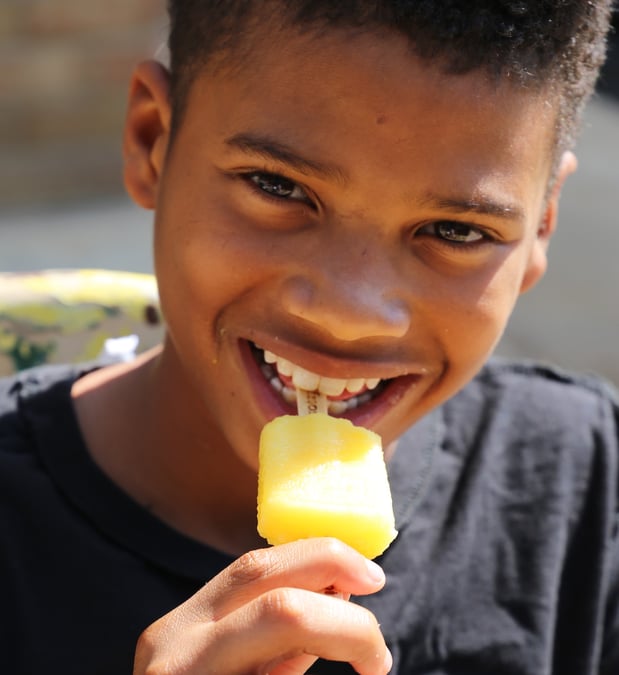 Images Frios Gourmet Pops South Boston