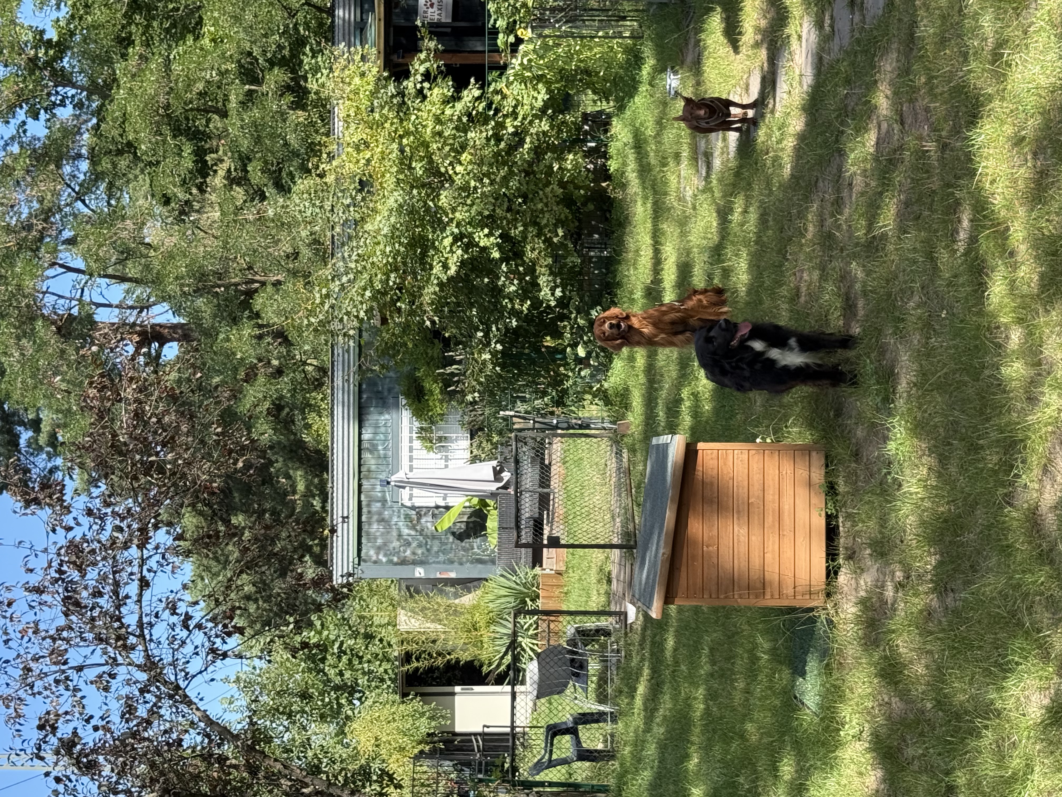 Bild 17 Dogcoach Hundezentrum in Berlin