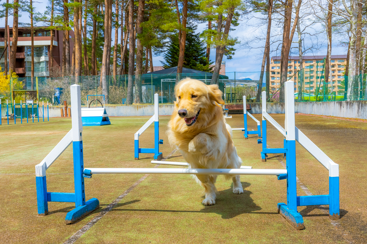 Images フジプレミアムリゾート