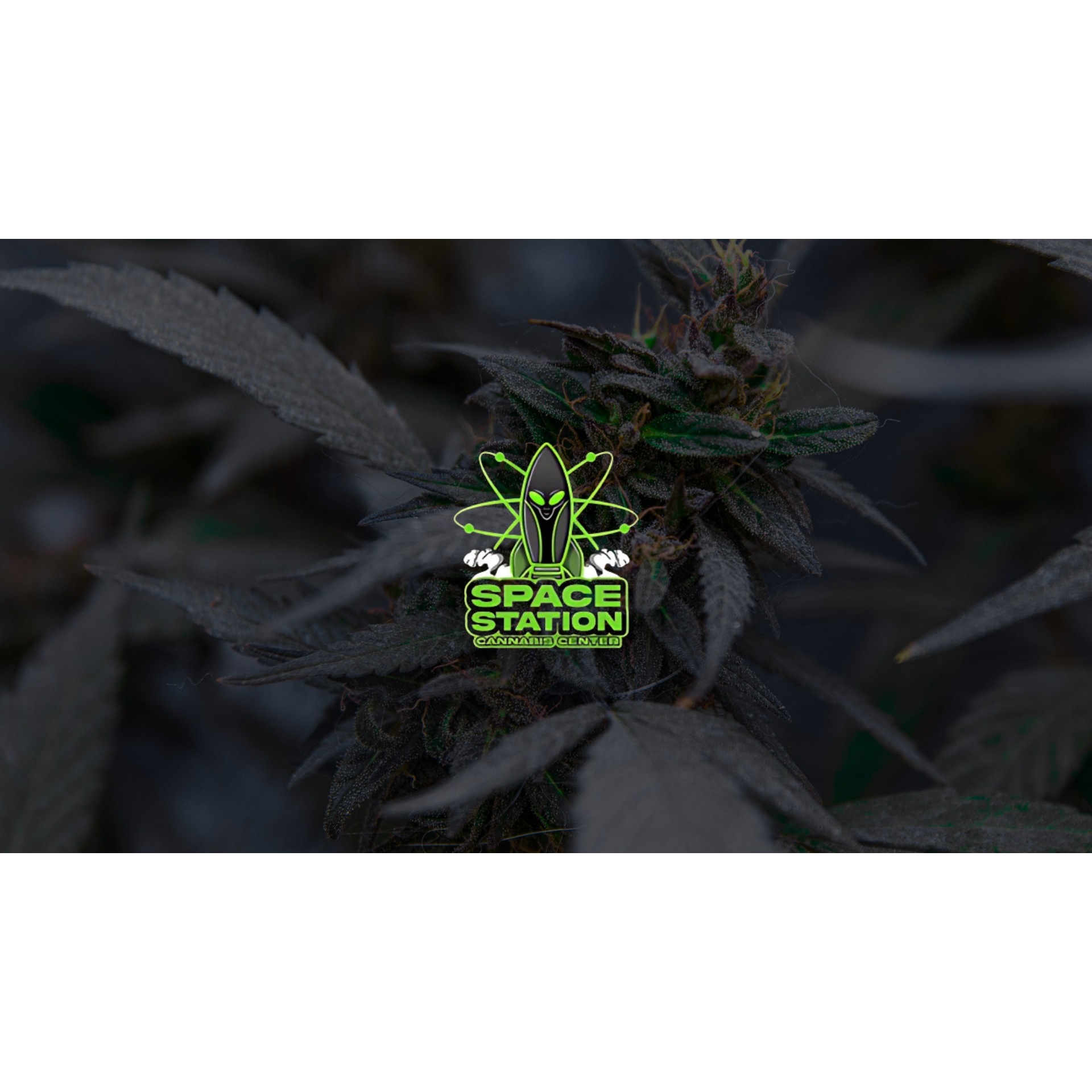 Space Station Cannabis Center