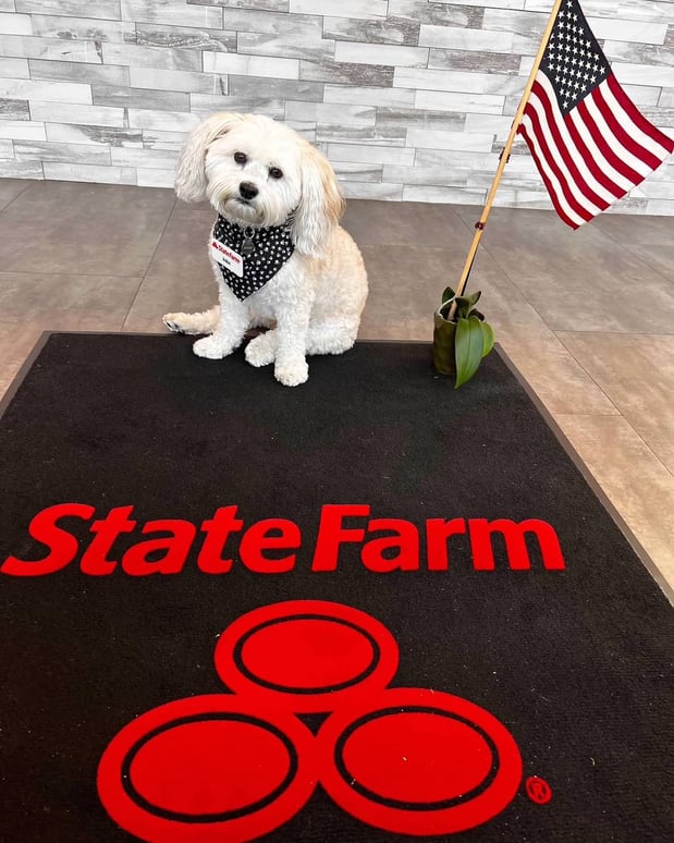 Images Craig Martin - State Farm Insurance Agent