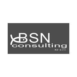 Bsn Consulting 42 Logo