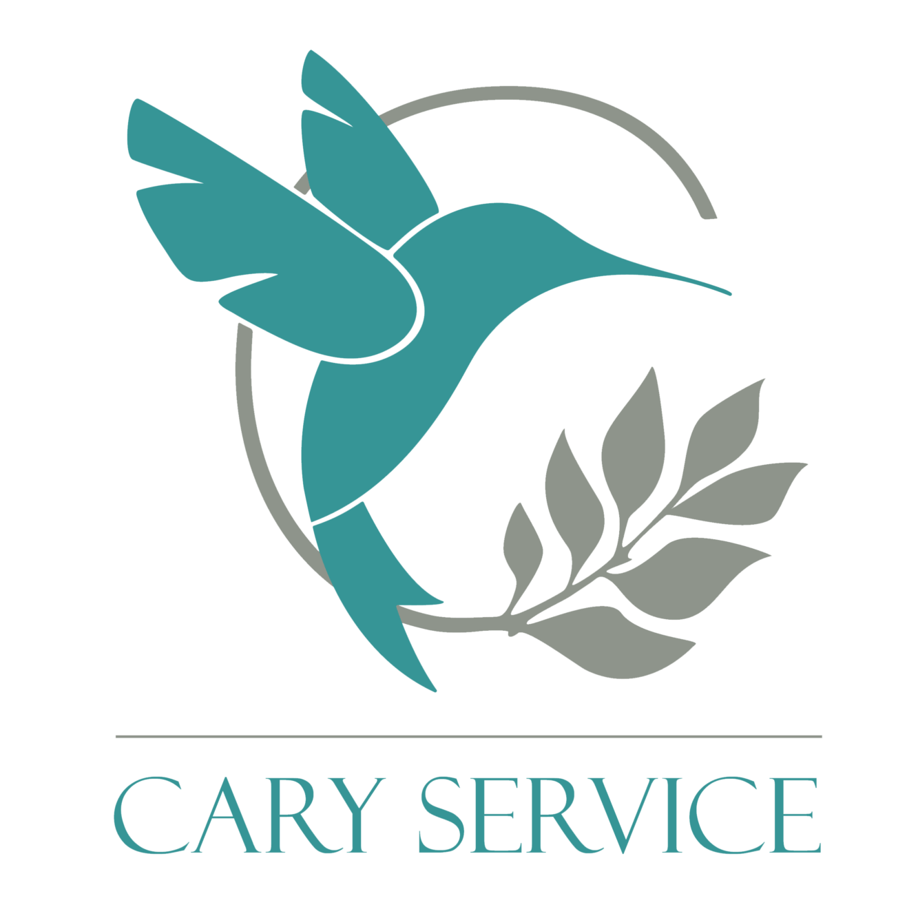 CARY Service Alexander Bohne in Großräschen - Logo