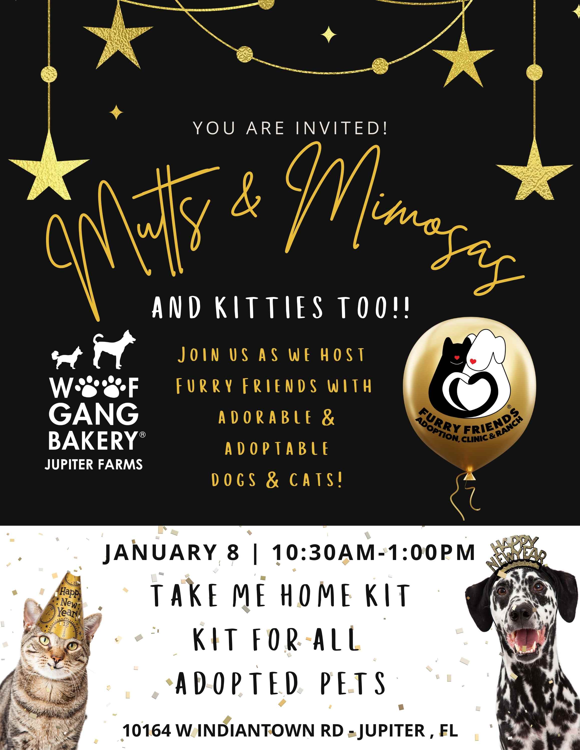 Mutts, Mimosas And Kitties! Furry Friends Will Be Onsite Woof Gang Bakery & Grooming Jupiter