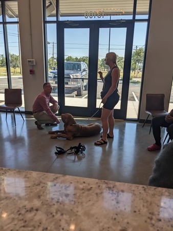 Images Liberty Hill Animal Hospital