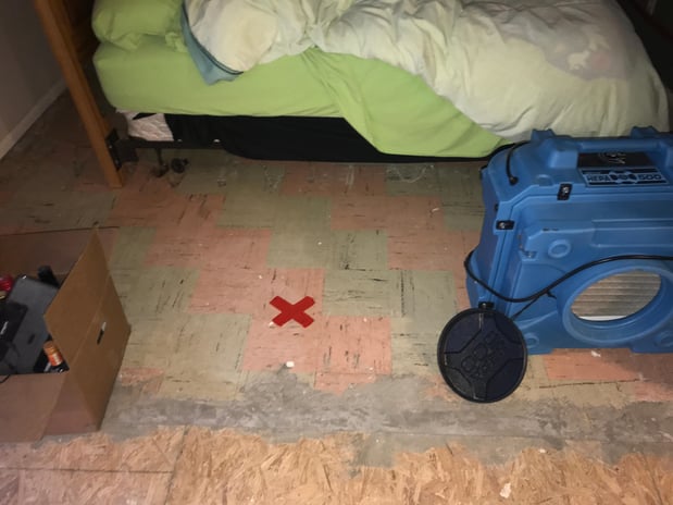 Images Rex Environmental