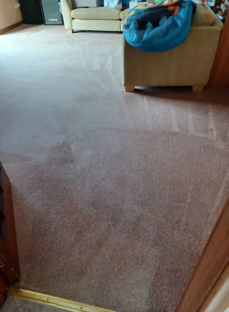 Images Johnshaven Carpet Cleaning Services