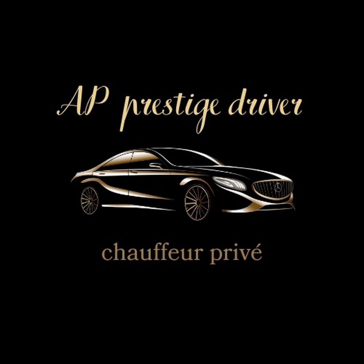 AP PRESTIGE DRIVER / Chauffeur privé VTC Var / alternative taxi Sanary-sur-mer, Bandol, Toulon, Hyères, Six-Fours-les-Plages Logo