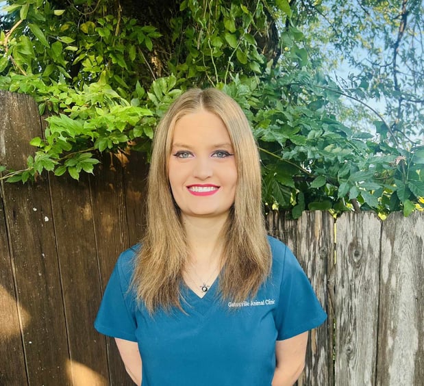 Images Gatesville Animal Clinic, LLC