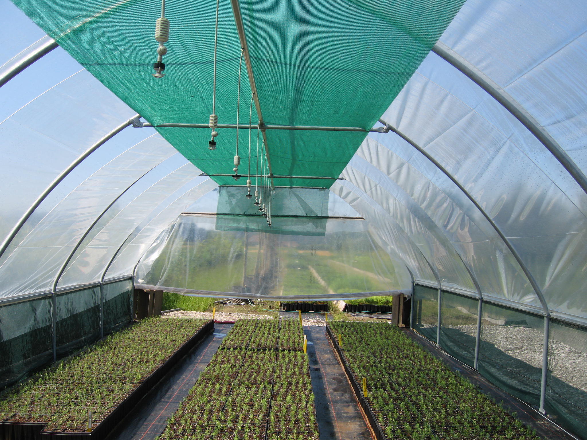 Emme Forstbaumschulen AG, Schachen 9 in Wiler b. Utzenstorf