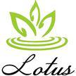 Lotus CBD Logo